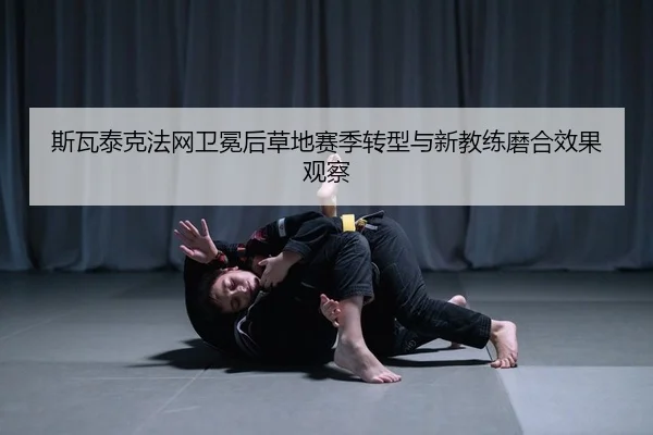 si-wa-tai-ke-fa-wang-wei-mian-hou-cao-di-sai-ji-zhuan-xing-yu-xin-jiao-lian-mo-he-xiao-guo-guan-cha-2-798.jpg